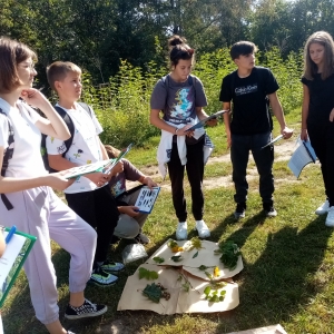 Uczniowie klasy 8a rozpoznają rośliny inwazyjne, zebrane w okolicy UP w Białymstoku