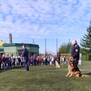 Pokaz psów policyjnych